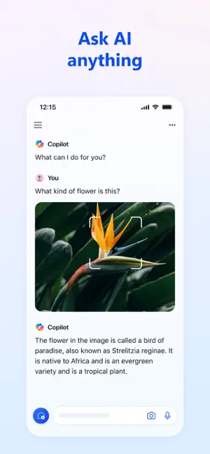 Microsoft Copilot APP截图 3