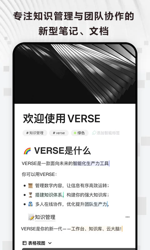 Verse AP1截图 4