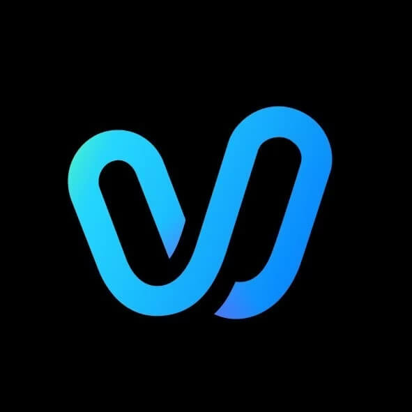 Vidu Logo