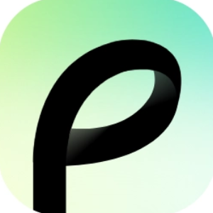 Pavo Logo