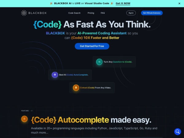 BLACKBOX AI 页面预览