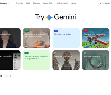 Google AI 页面预览