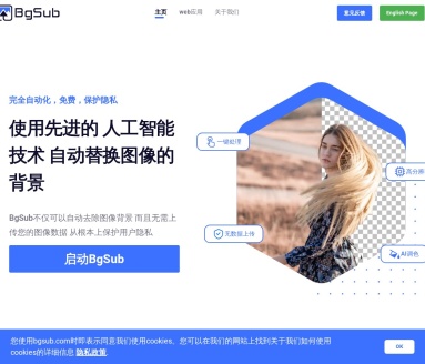 BgSub 页面预览